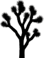 Joshua Tree Silhouette